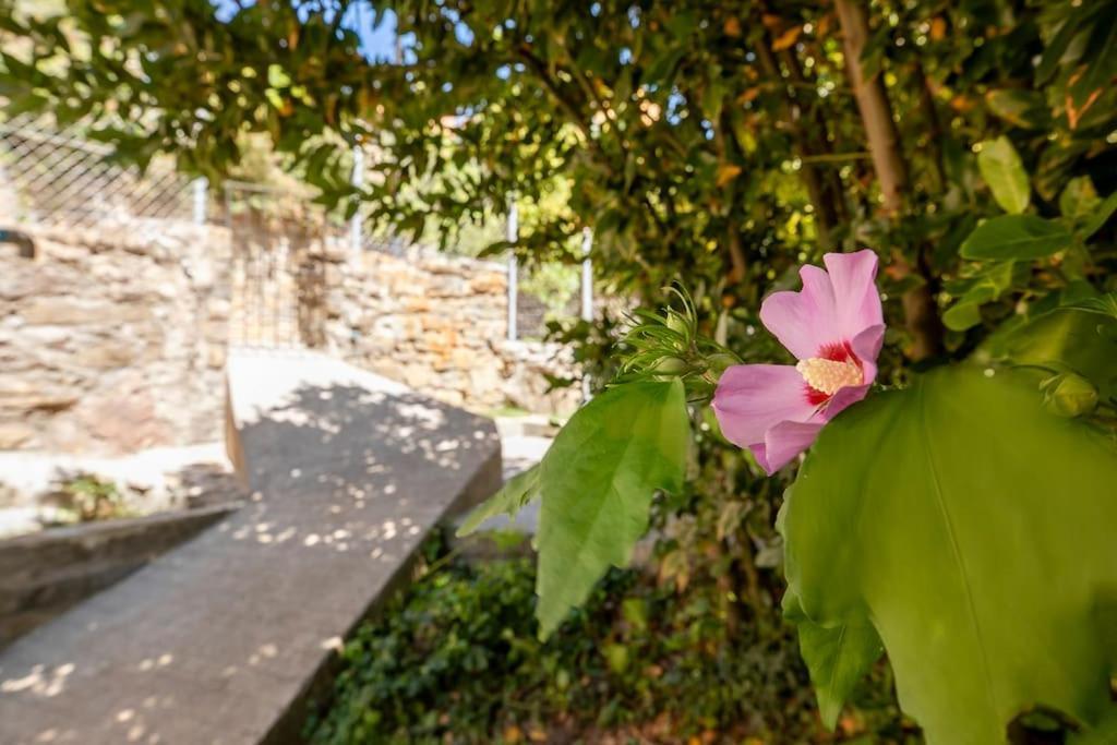 Casa Feli - Apartamento Con Jardin Privado En Los Pirineos Castiello de Jaca Extérieur photo